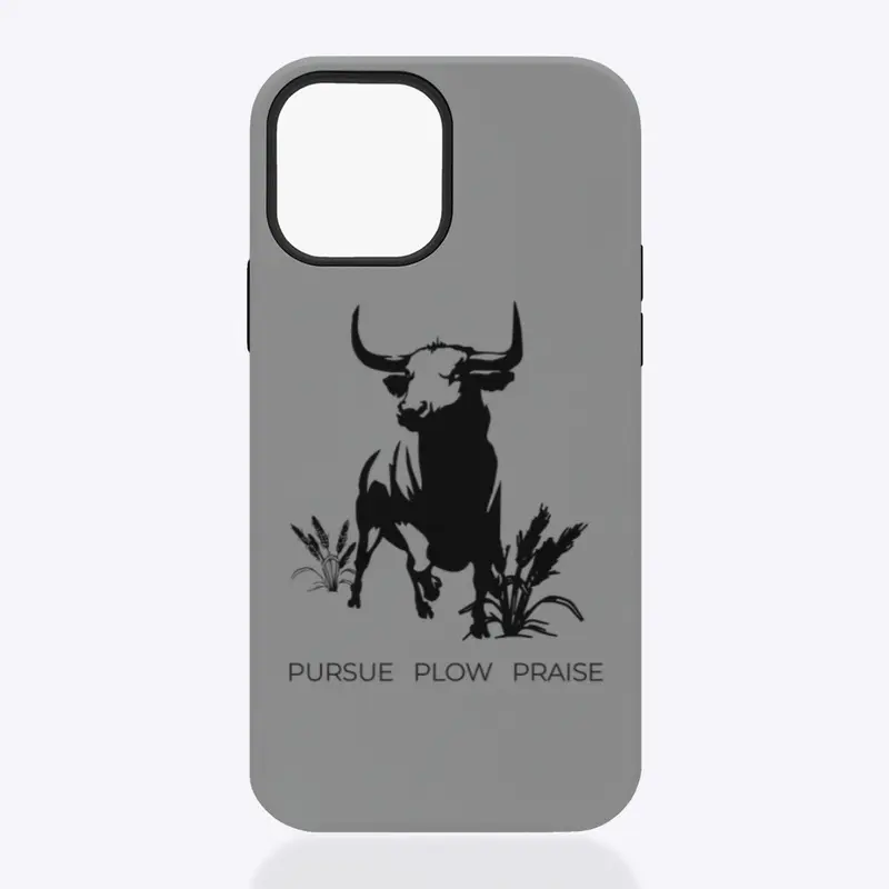 Praise iPhone MagCase